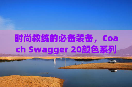 时尚教练的必备装备，Coach Swagger 20颜色系列